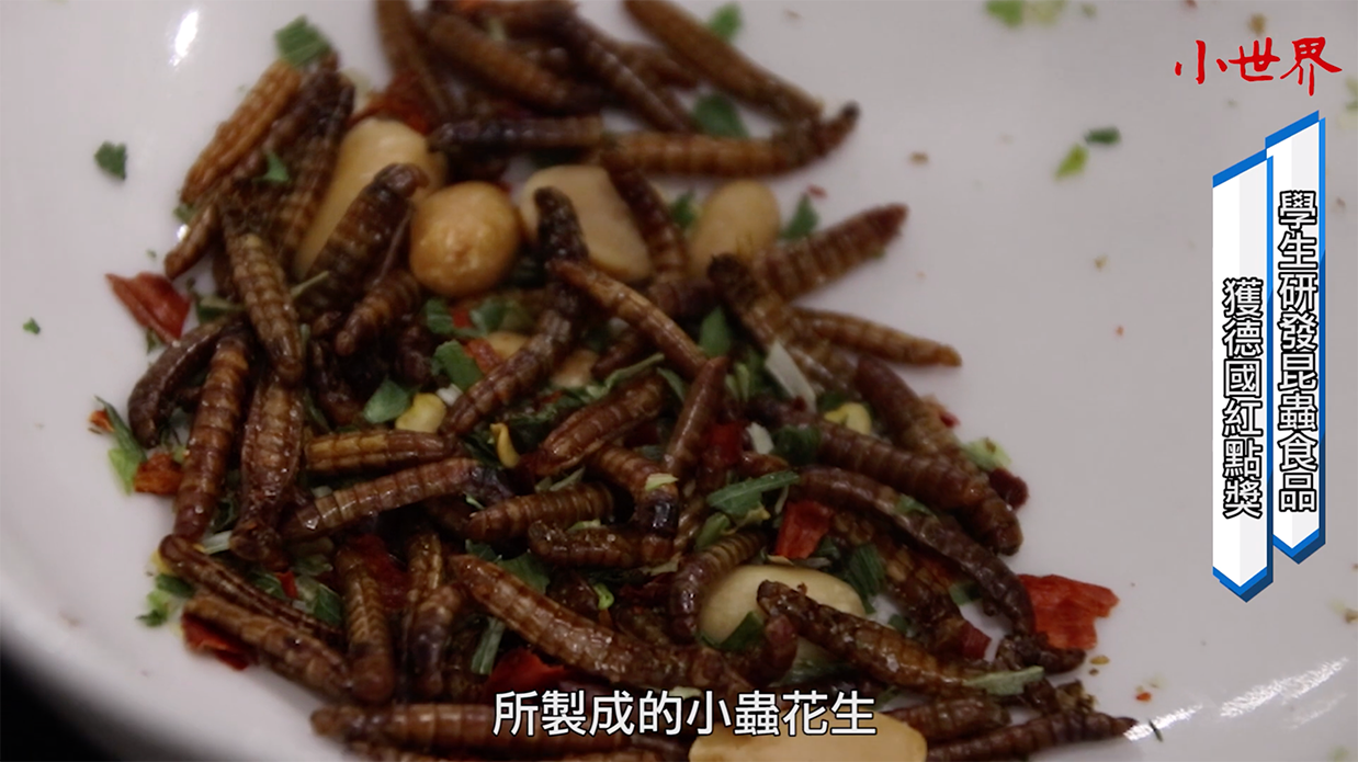 締造飲食永續 昆蟲入菜做料理