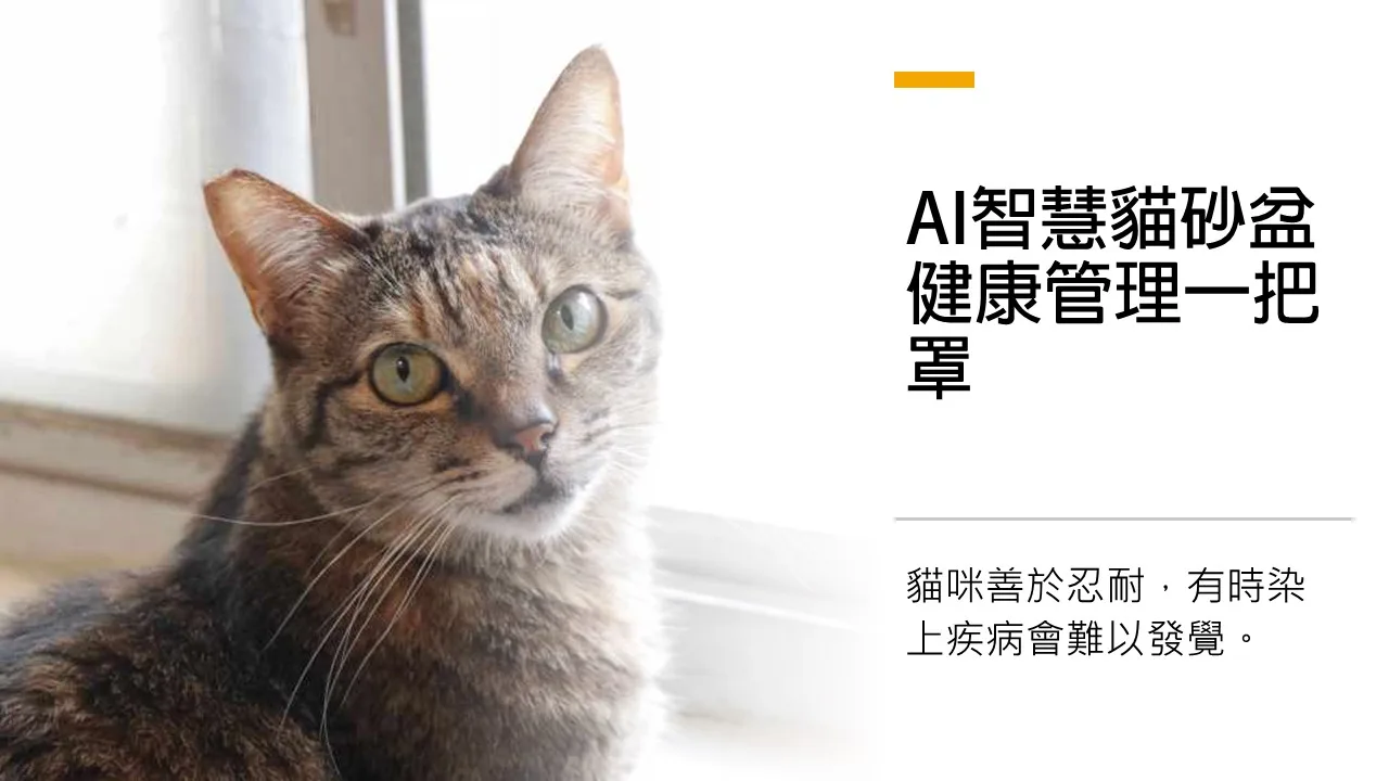 AI智慧貓砂盆問世 協助貓咪健康偵測