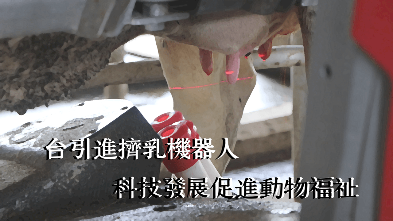台灣引進擠乳機器人 提升產能促進動物福祉