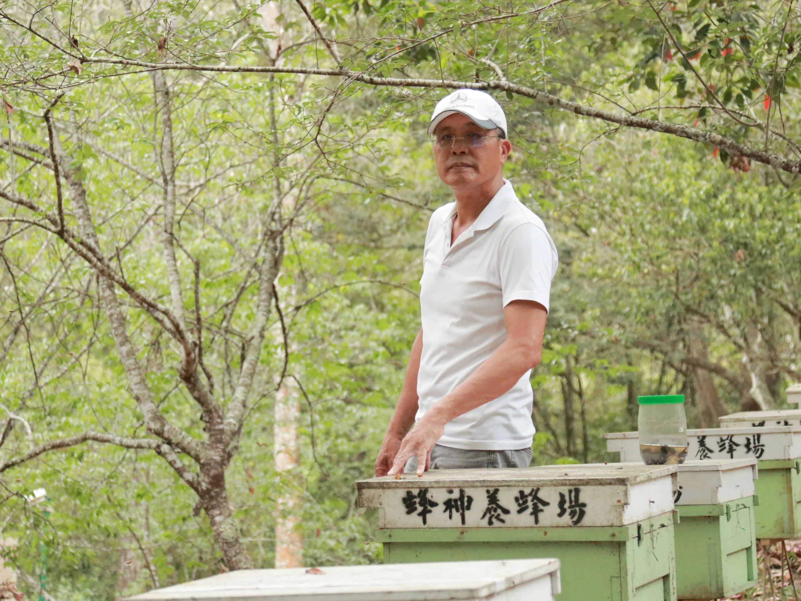 【攝影報導】林下養蜂創經濟價值 產收高品質森林蜜