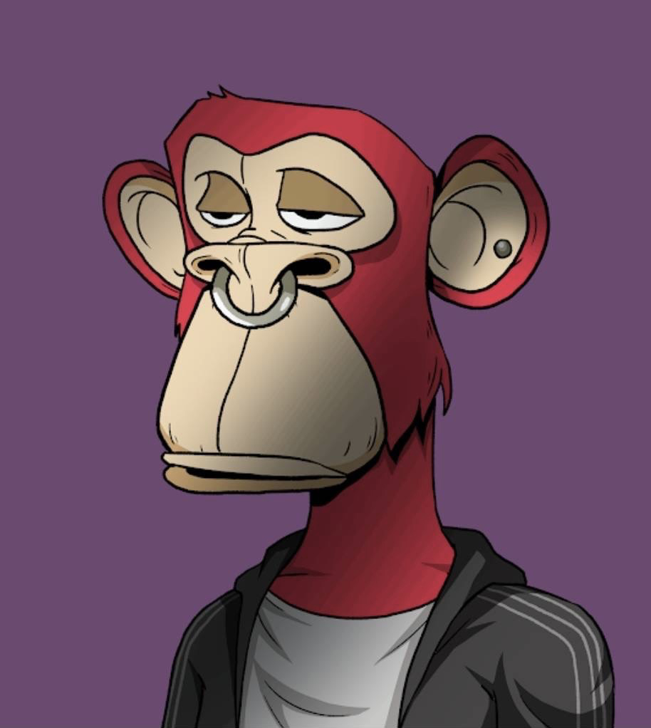 搶佔未來商機要小心！NFT投資危機四伏– 世新大學小世界