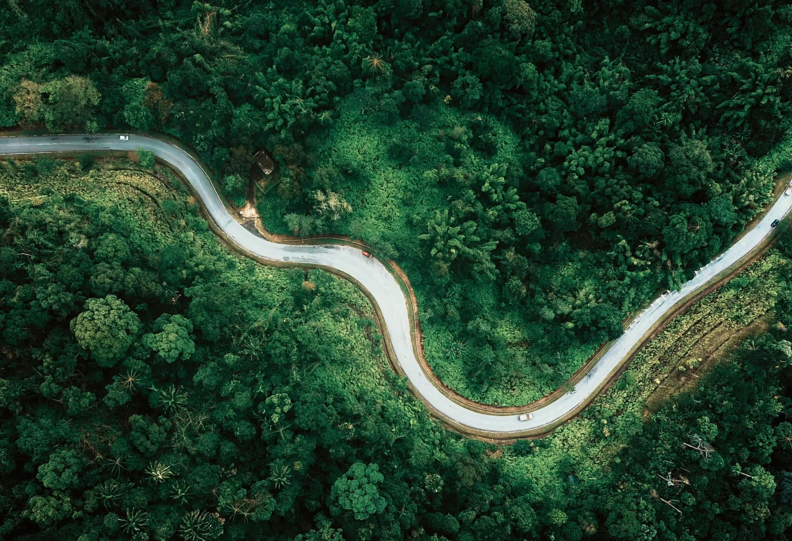 「地球之肺」的消失 亞馬遜雨林對人類的影響