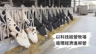 科技牧場產好乳 牛好壯壯環境永續