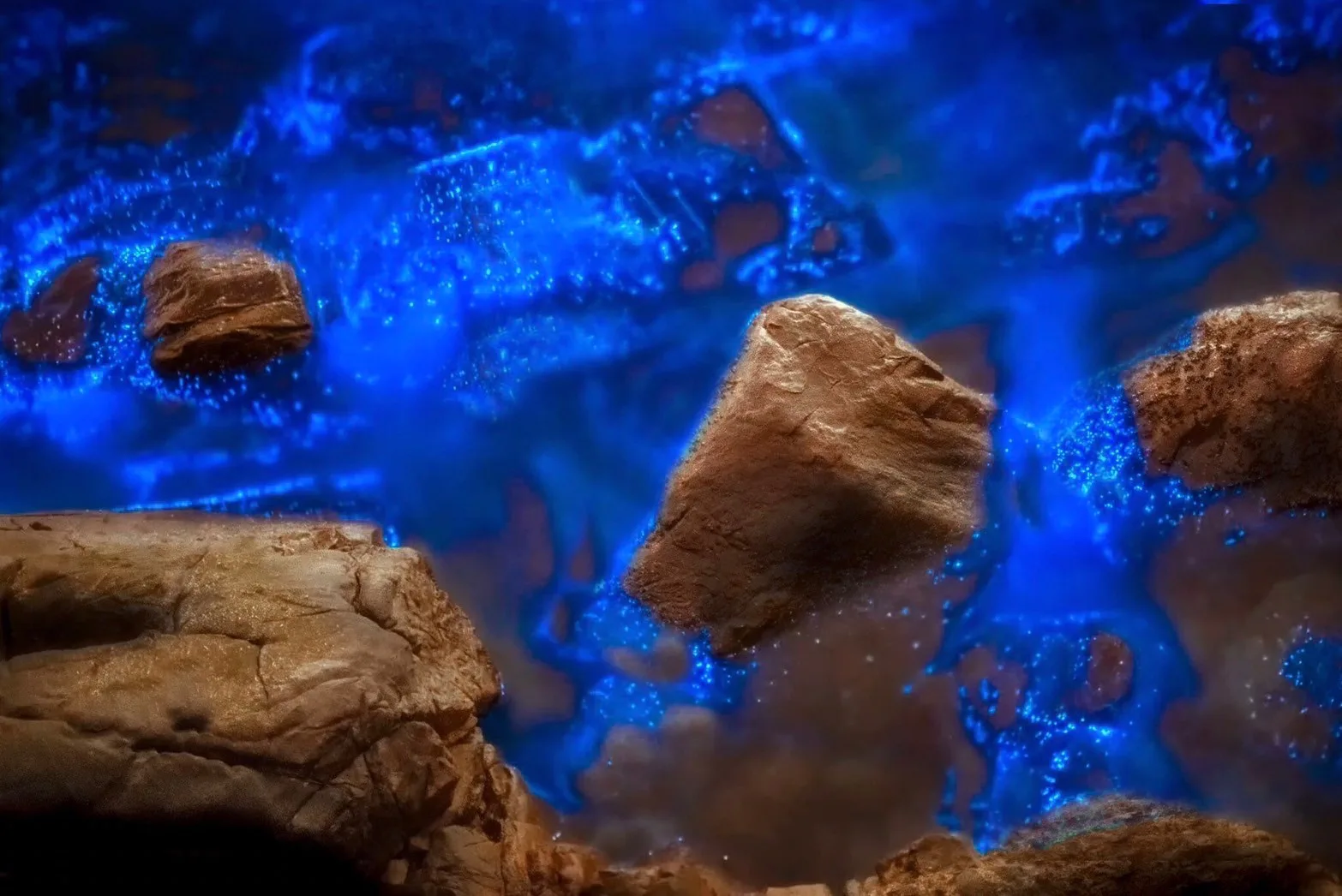 「藍」光粼粼 海洋中的螢火蟲