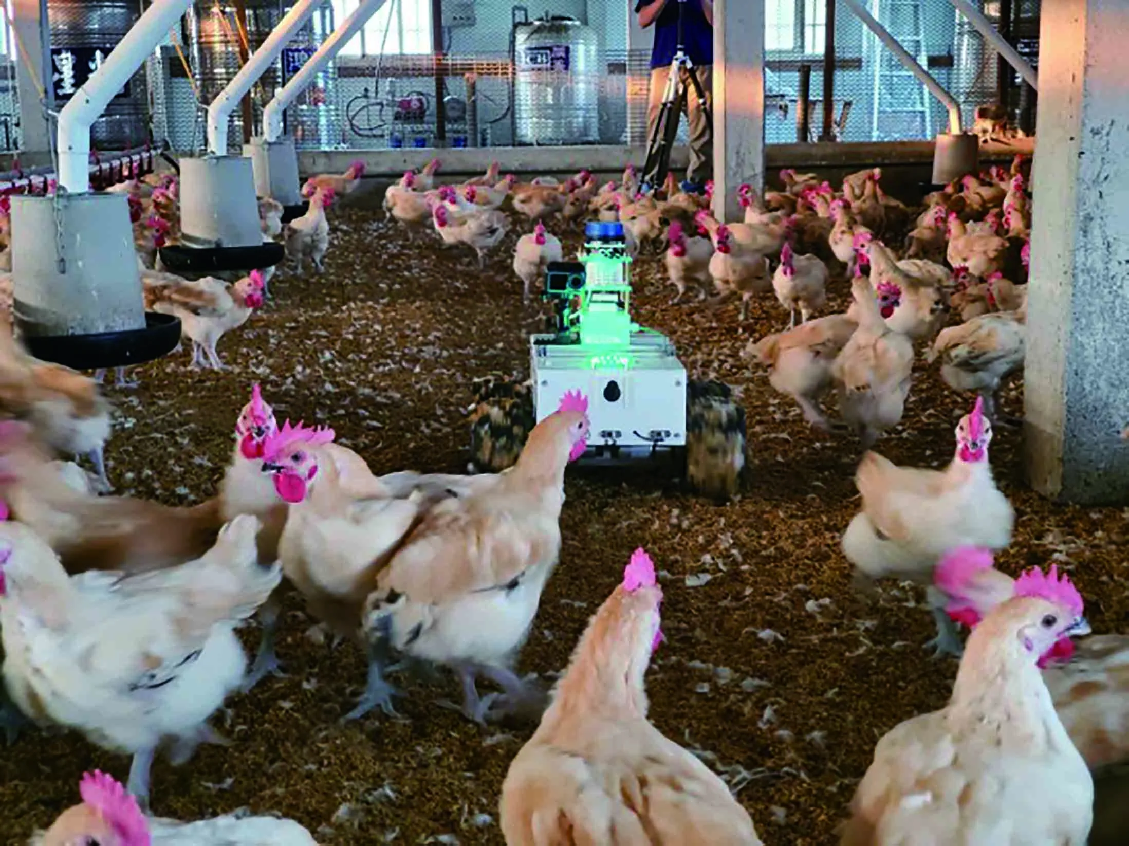 ​​飼「雞」而動 科技打造智慧家禽環境​