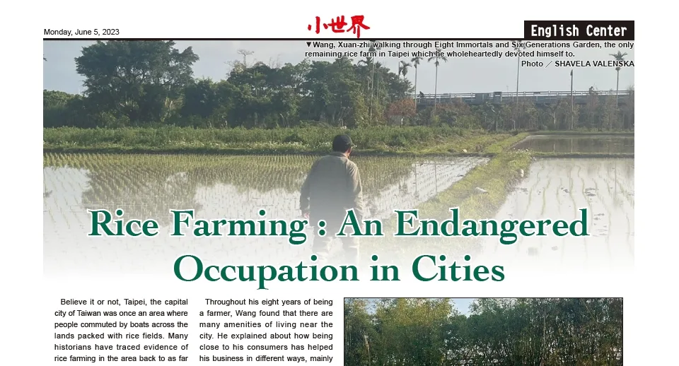 Rice Farming : An Endangered Occupation in the Cities