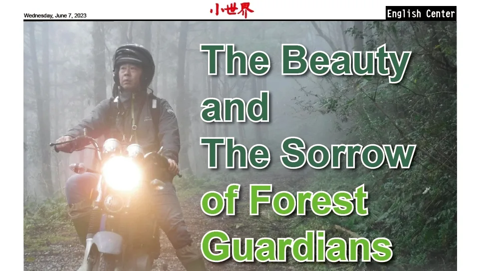 The Beauty and The Sorrow of Forest Guardians