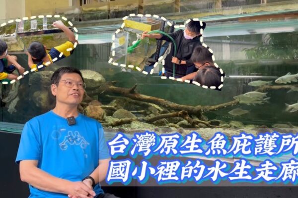 台灣原生魚庇護所 國小水生走廊保育扎根