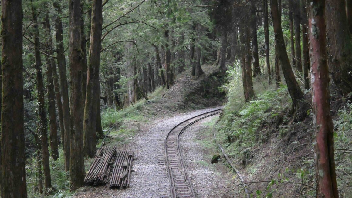 阿里山林鐵命時跌宕 眠月線復甦迎曙光