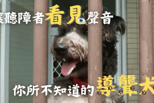 讓聽障者「看見」聲音 你所不知道的導聾犬