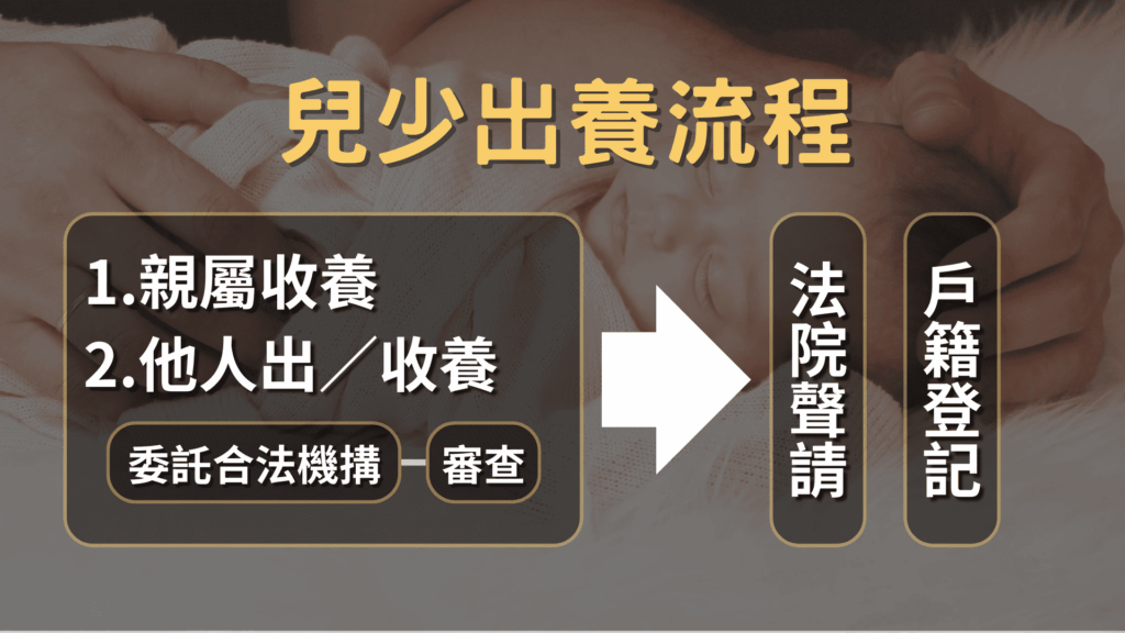 未成年懷孕者可透過社福機構協助出養。資料來源／衛福部、製圖／江盈瑩