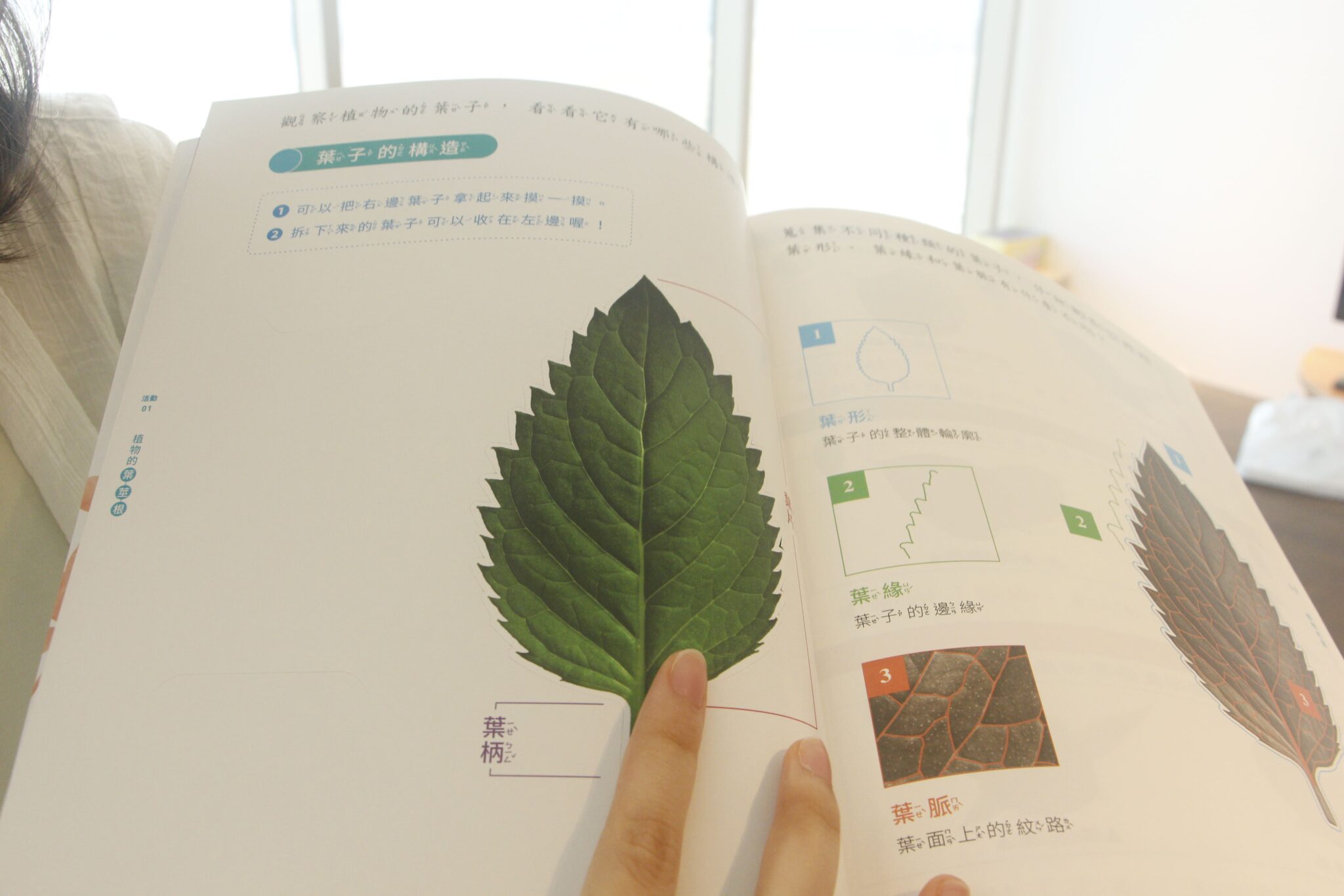 【美感教育1】「美」有感覺 美感教育融入教科書 – 世新大學小世界