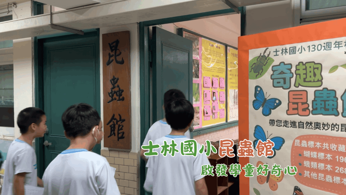 士林國小昆蟲館 啟發學童好奇心