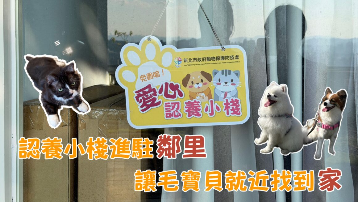 認養小棧進駐鄰里 讓毛寶貝就近找到家
