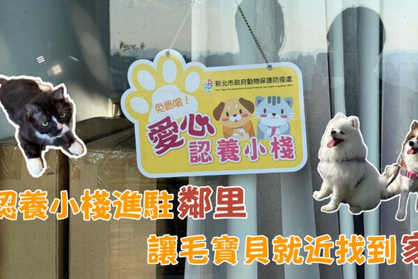 認養小棧進駐鄰里 讓毛寶貝就近找到家