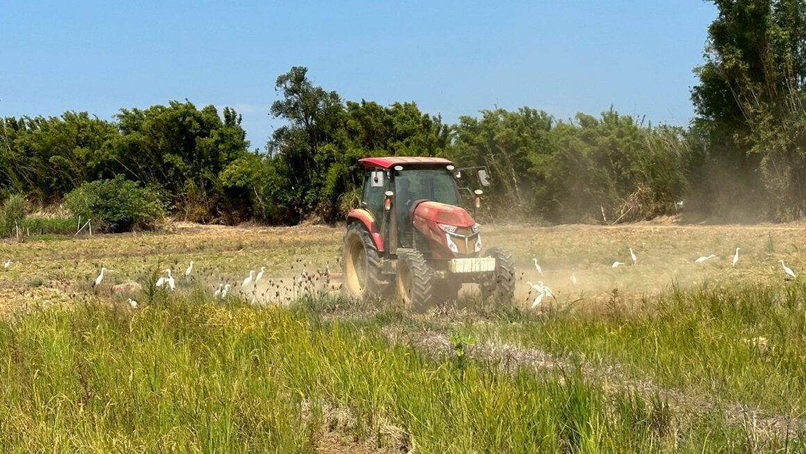 農業轉型新契機 人工智慧自動化輔助土地耕作
