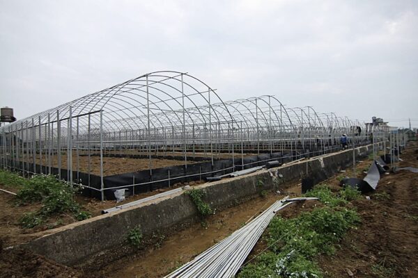 環保農藥 守護生態與糧食安全