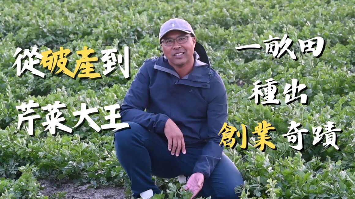 從破產到芹菜大王 一畝田種出創業奇蹟