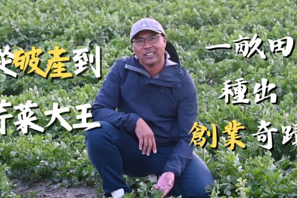 從破產到芹菜大王 一畝田種出創業奇蹟