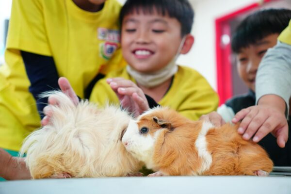 培養同理心 寵物伴讀強化情感連結