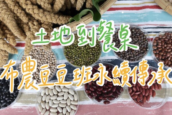 從土地到餐桌 布農豆豆班永續傳承