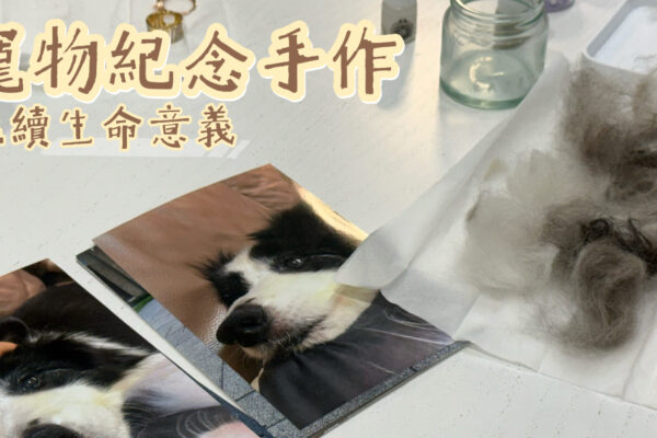 寵物紀念手作 延續生命意義