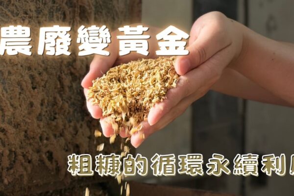 農廢變黃金 粗糠的循環永續利用