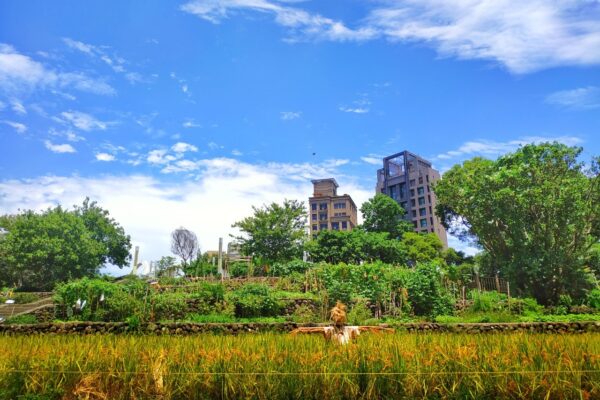 台北客家農場 復育環境實踐永續