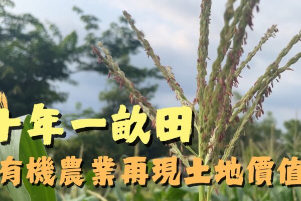 十年一畝田 有機農業再現土地價值