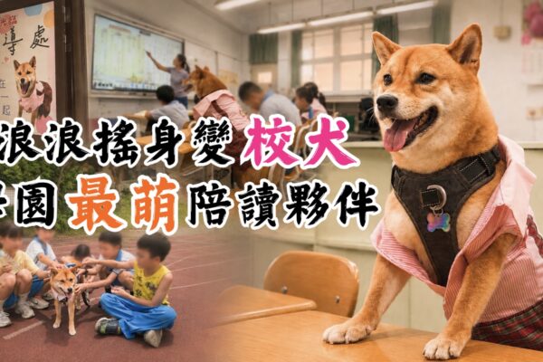 浪浪搖身變校犬 學園最萌陪讀夥伴