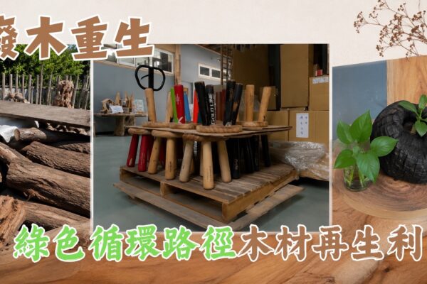 廢木重生 綠色循環路徑木材再生利用