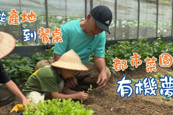 從產地到餐桌 都市菜園有機夢
