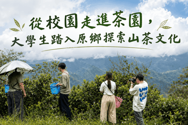 從校園到茶園 大學生踏入原鄉探索山茶文化